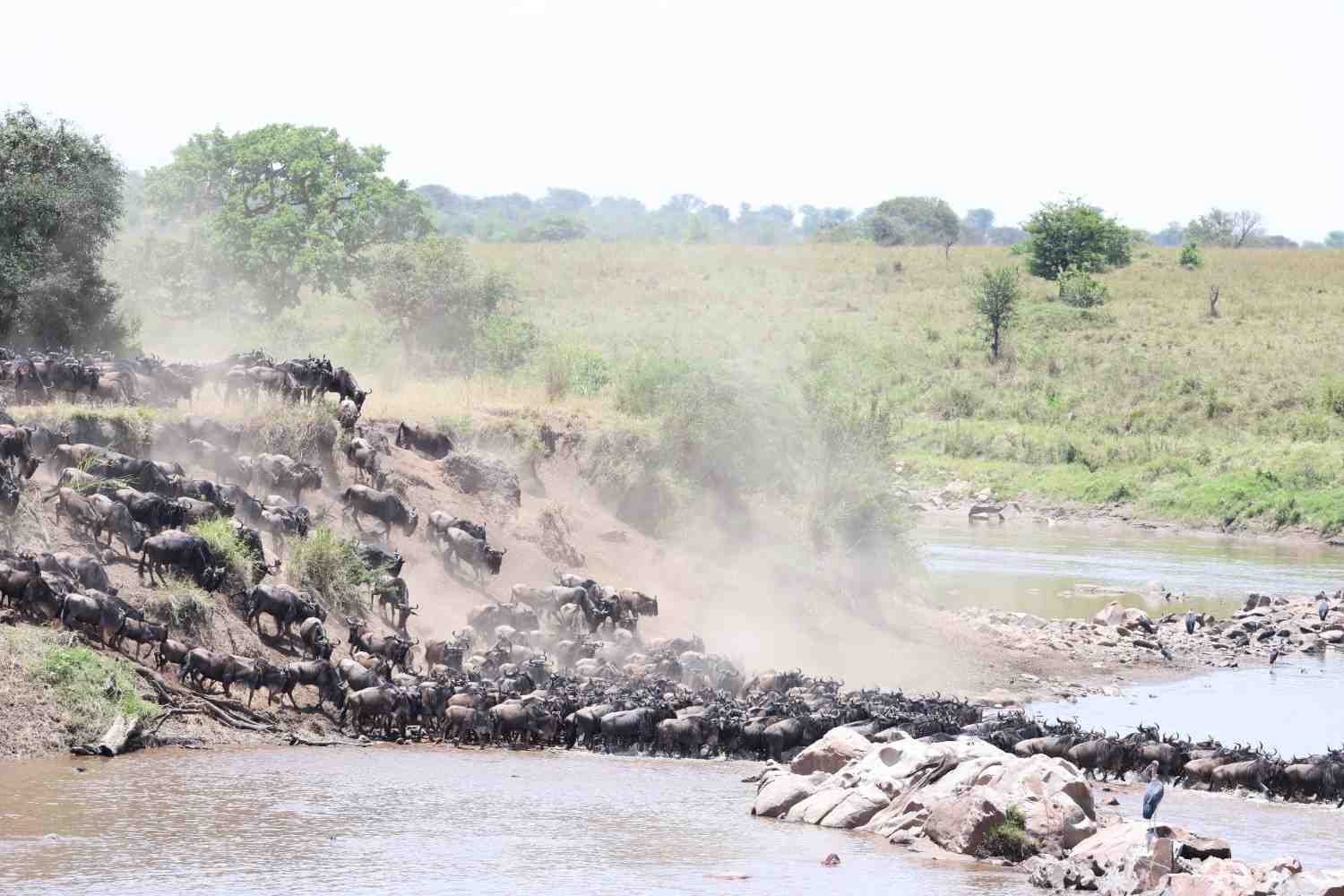 10 Days Luxury Tanzania Safari & Cultural Experience - Photograph 3