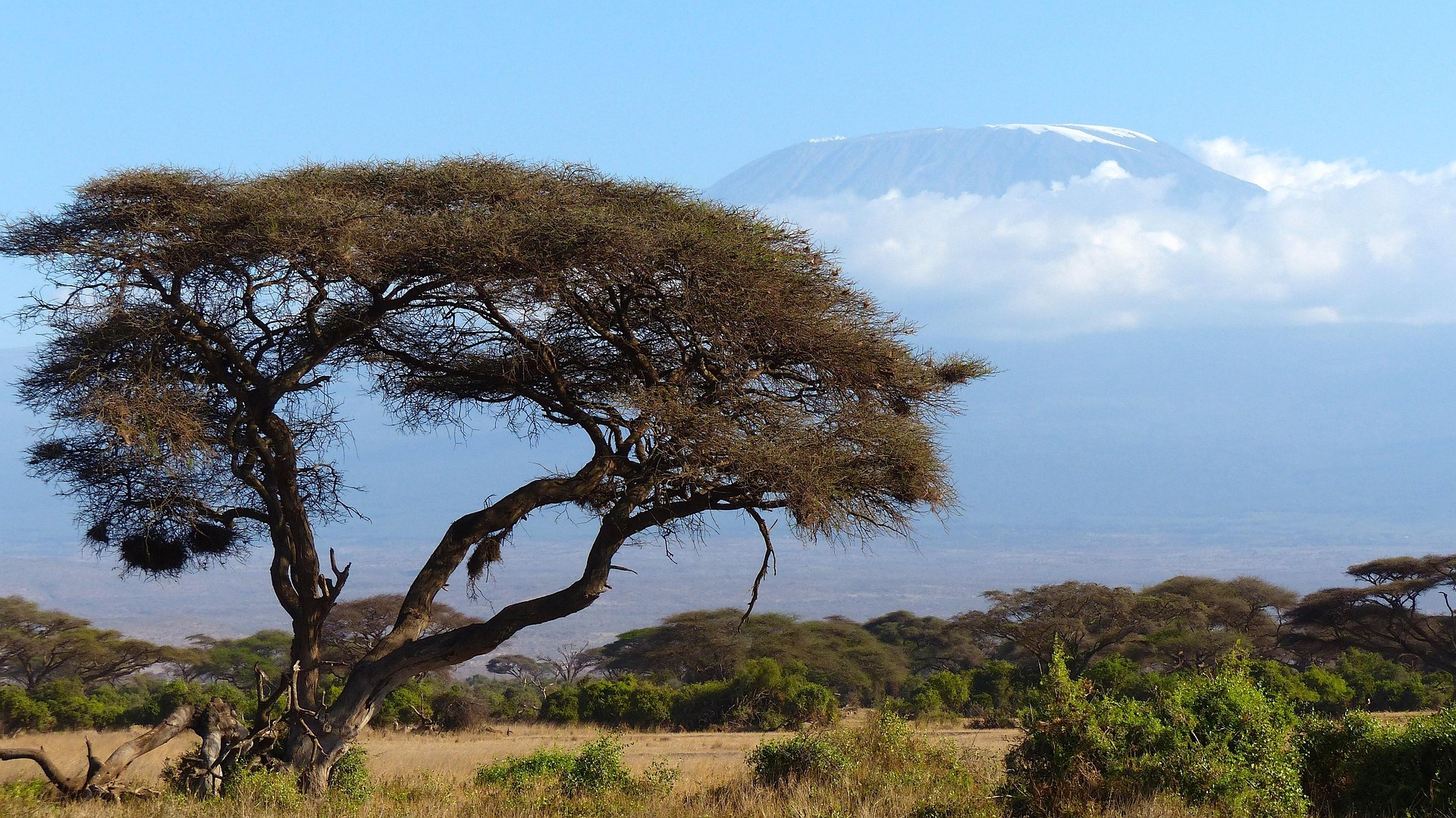 8 Days Mount Kilimanjaro Trek via Lemosho Route - Photograph 2