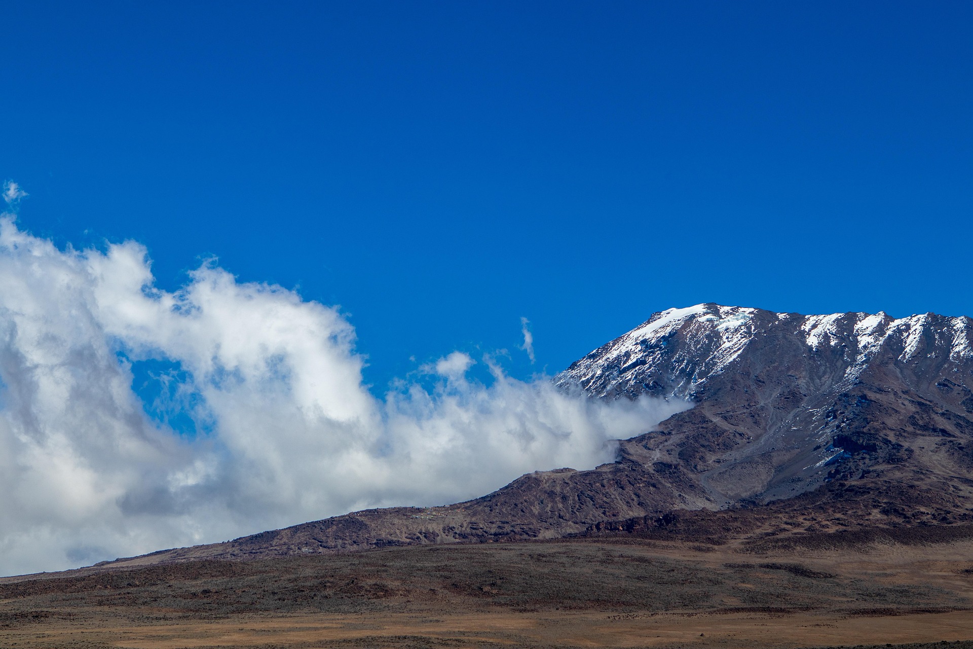 8 Days Mount Kilimanjaro Trek via Lemosho Route - Photograph 4