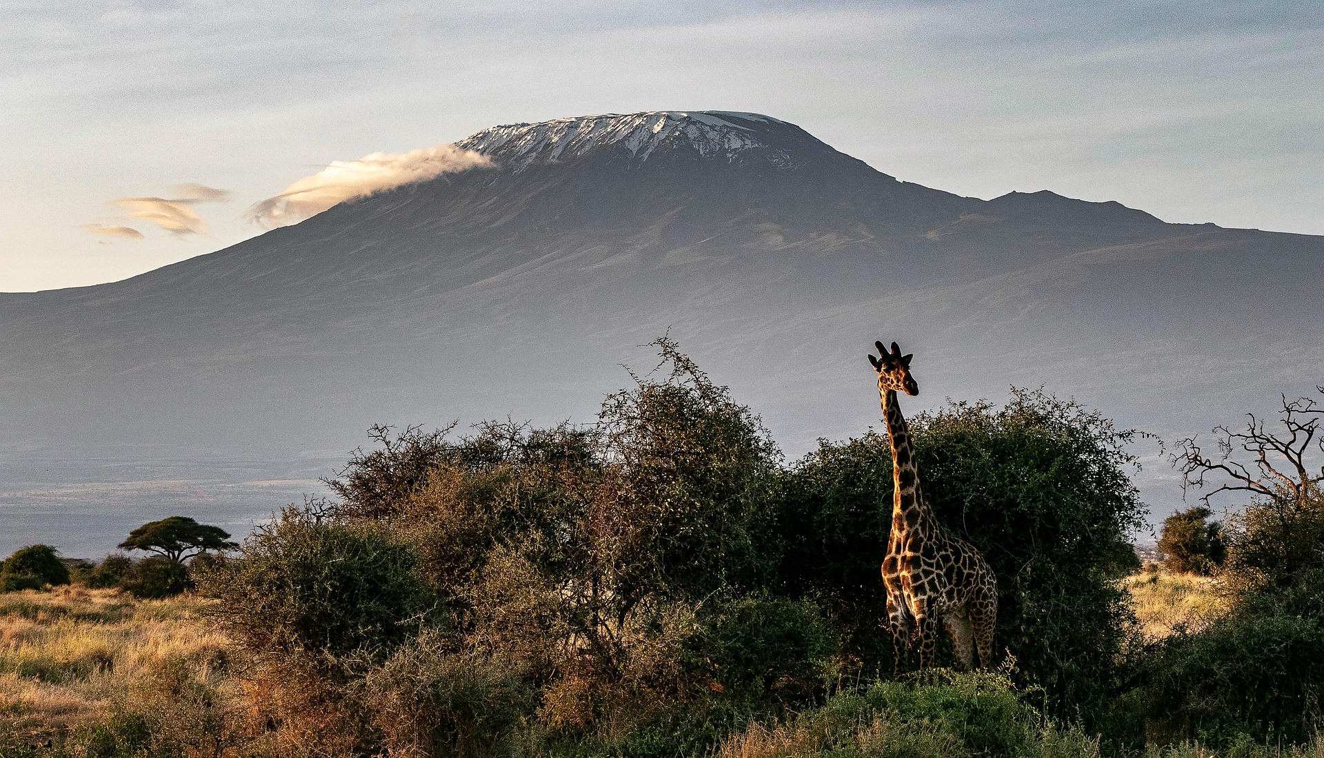 8 Days Mount Kilimanjaro Trek via Lemosho Route