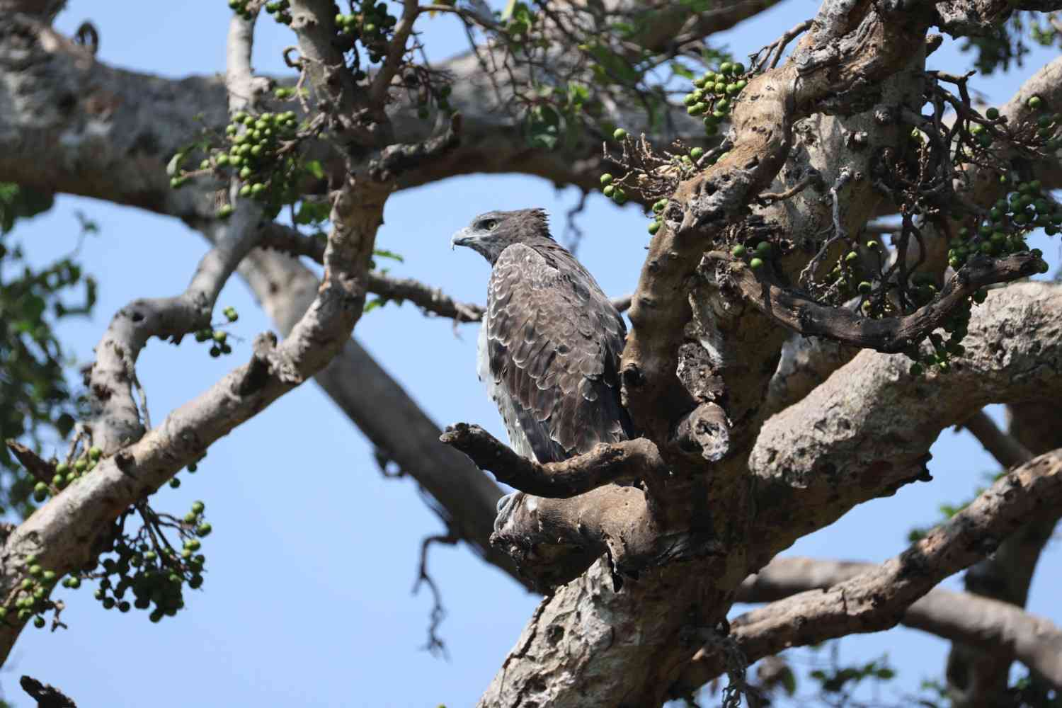8 Days Tanzania Wildlife & Discovery Safari - Photograph 2